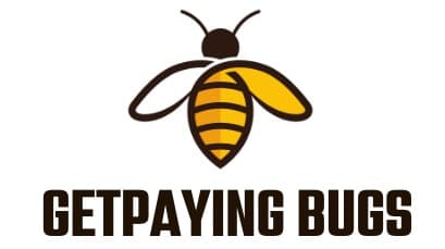 Main Website & Mentorship Program